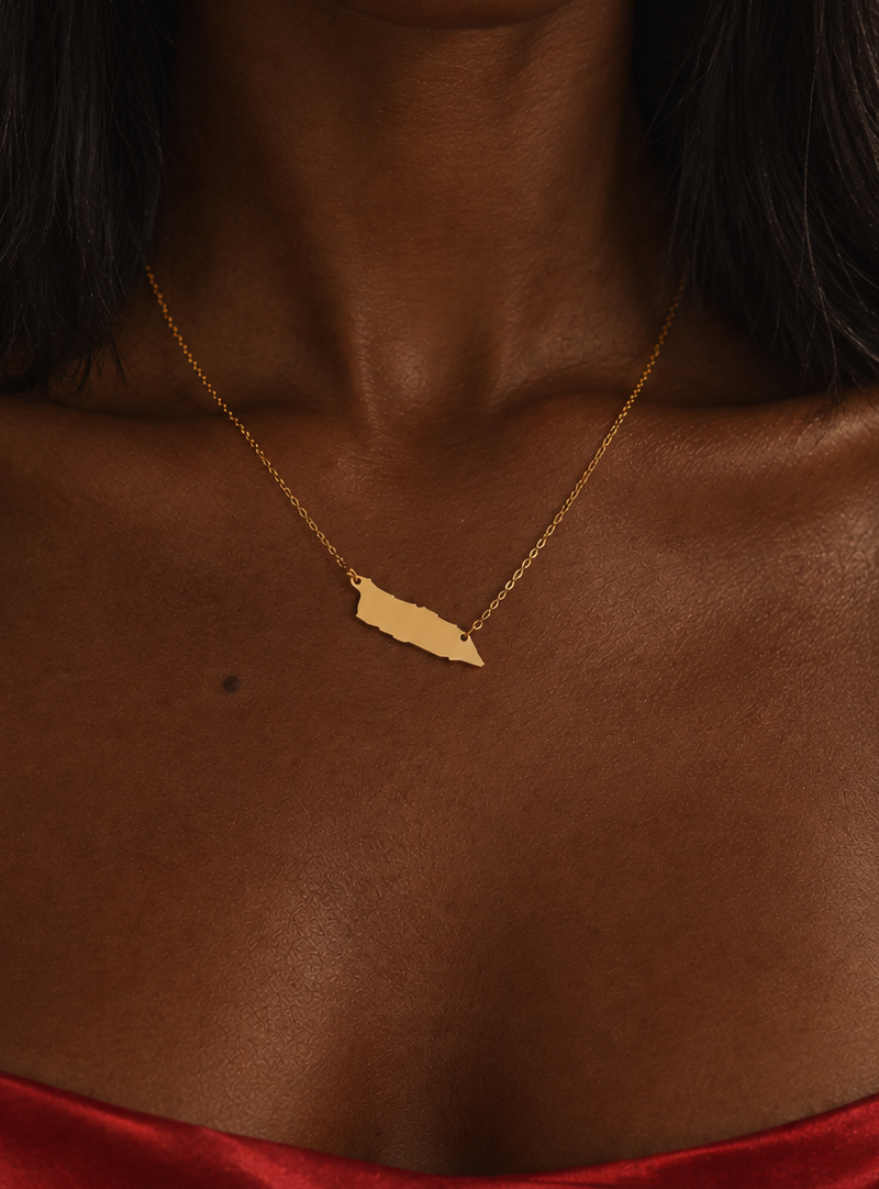 A close-up of a model wearing a delicate gold chain necklace with a small, polished gold Aruba pendant, styled with a red satin top.