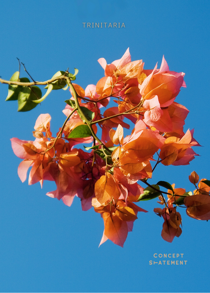 Trinitaria Oraño- Curaçao Bracelet