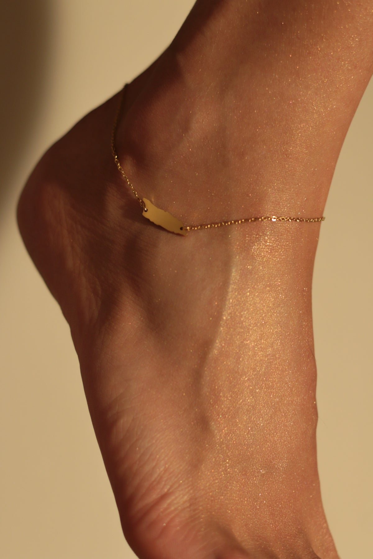 The OG Aruba anklet with gold-tone island charm on fine chain